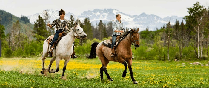 Confident plus-size woman riding Banstead a horse through a field with a smile on her face.